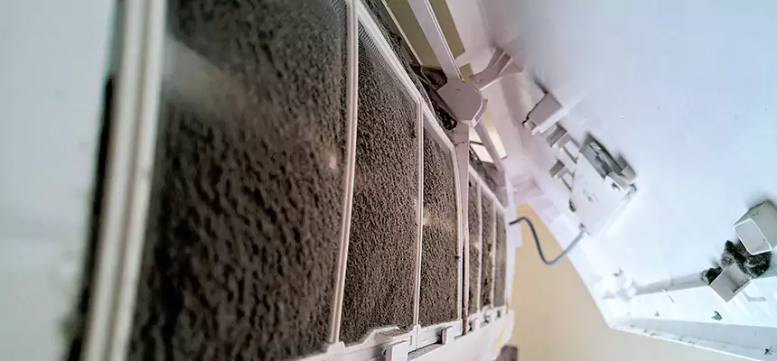 Preventive Air Duct Bacteria Removal in West Bend