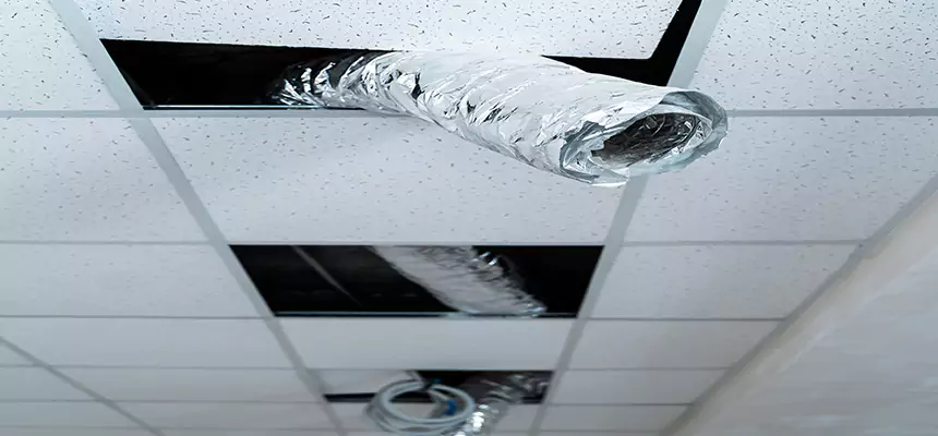 Affordable HVAC Sanitizing After Pest Removal in West Bend