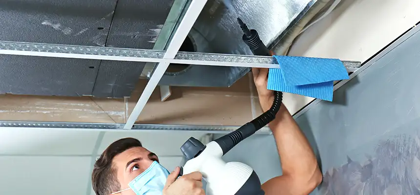 Our Air Duct Rodent Removal Services in West Bend, WI