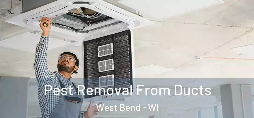 Pest Removal From Ducts West Bend - WI