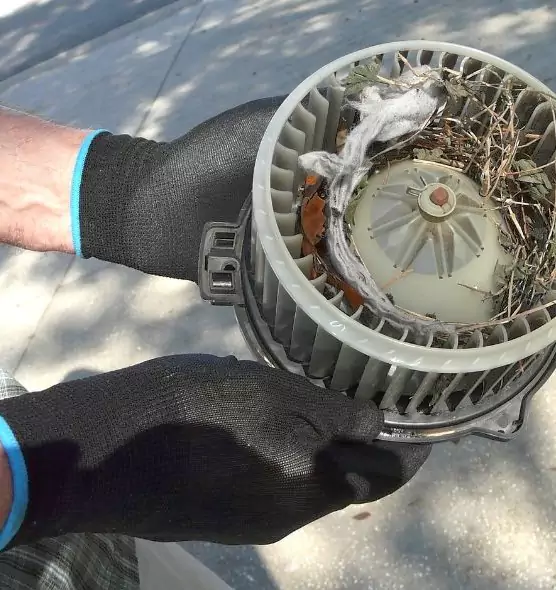 About Air Duct Rat Removal in West Bend, WI