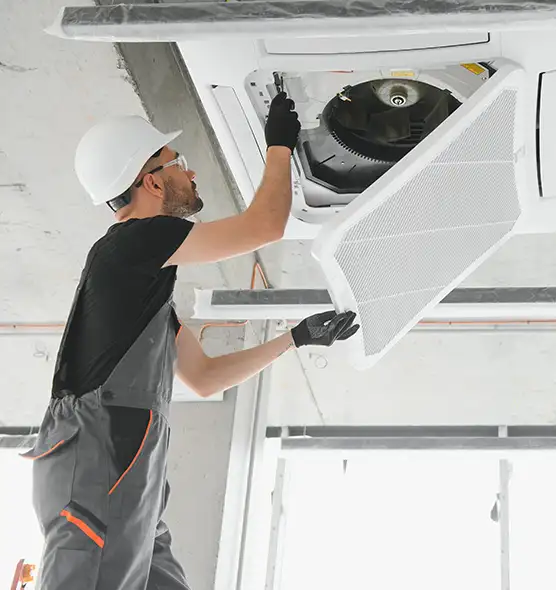 About Air Duct Rodent Removal in West Bend, WI