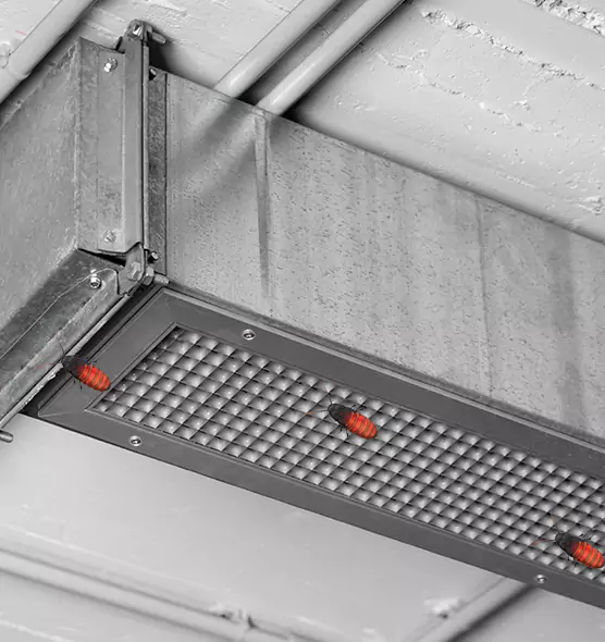 Affordable Insect Removal from Air Ducts in West Bend, WI