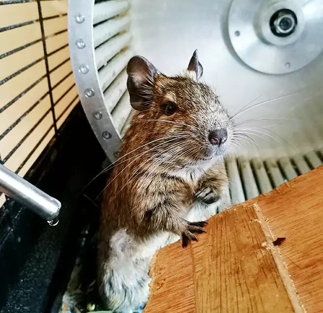 Why Homeowners & Businesses Trust Us West Bend, WI?